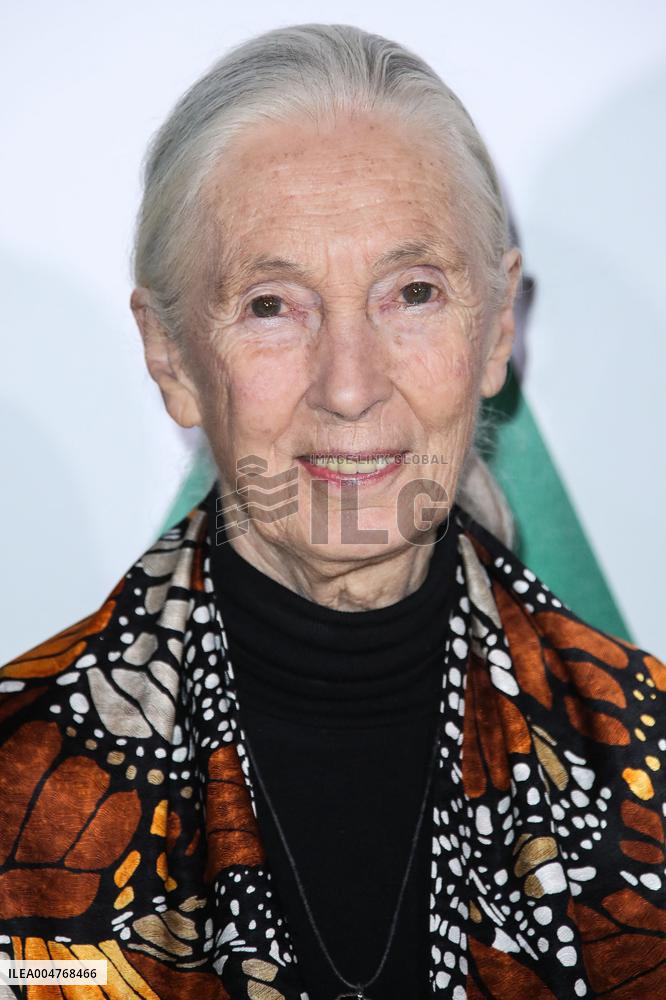 Jane Goodall Dead At 91