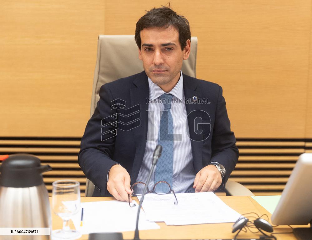 Steéphane Sejourne At Joint Committee for the European Union - Madrid