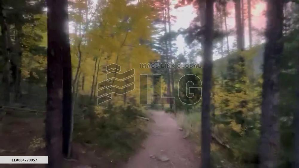 US: Fall Colors Reach Their Peak in Conifer, Colorado