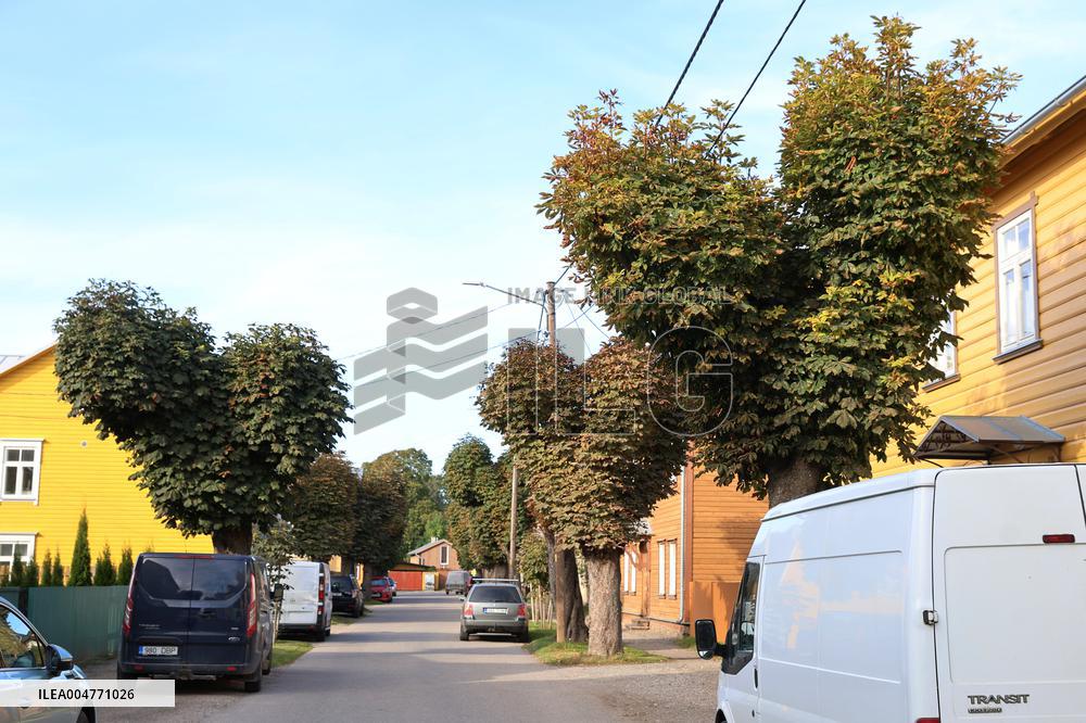 Aesculus hippocastanum