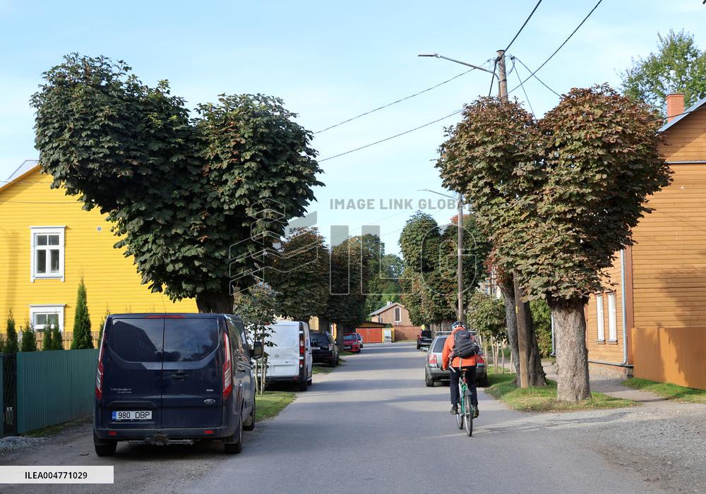 Aesculus hippocastanum