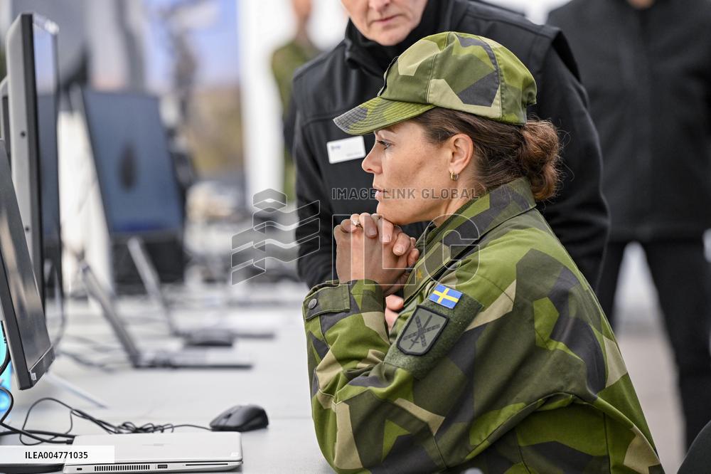 THE KING AND THE CROWN PRINCESS DRONE CAPABILITIES