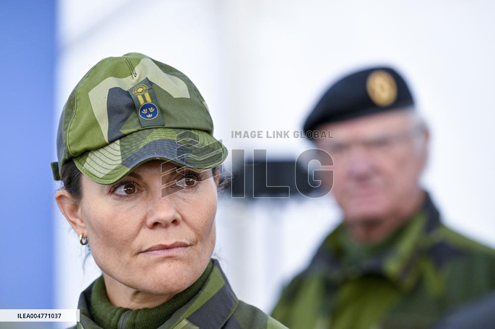 THE KING AND THE CROWN PRINCESS DRONE CAPABILITIES