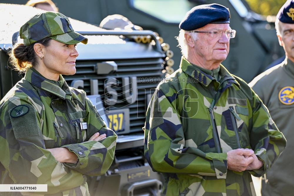 THE KING AND THE CROWN PRINCESS DRONE CAPABILITIES