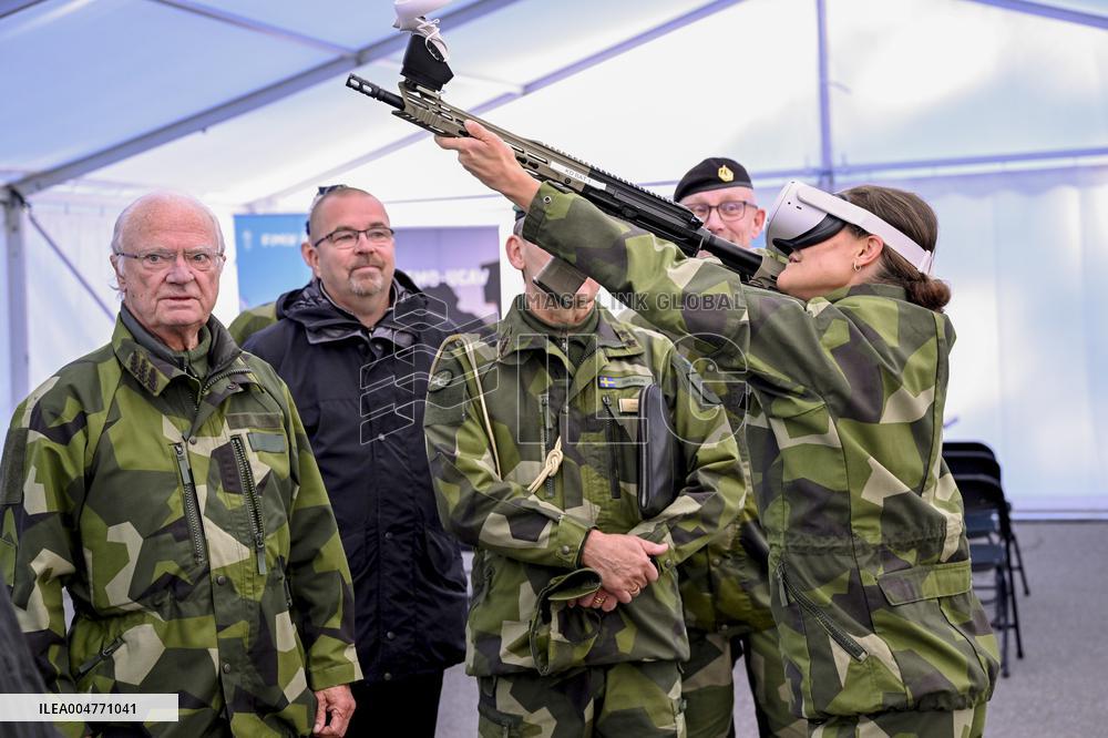 THE KING AND THE CROWN PRINCESS DRONE CAPABILITIES