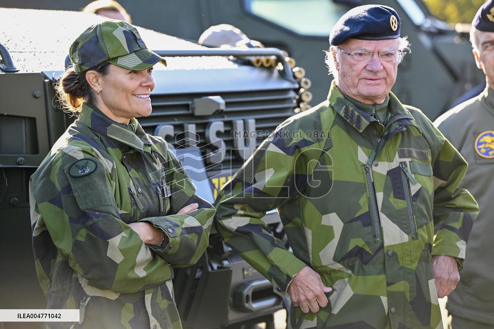 THE KING AND THE CROWN PRINCESS DRONE CAPABILITIES