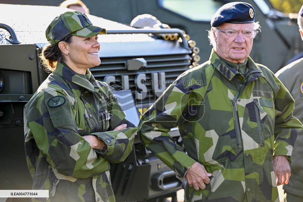 THE KING AND THE CROWN PRINCESS DRONE CAPABILITIES