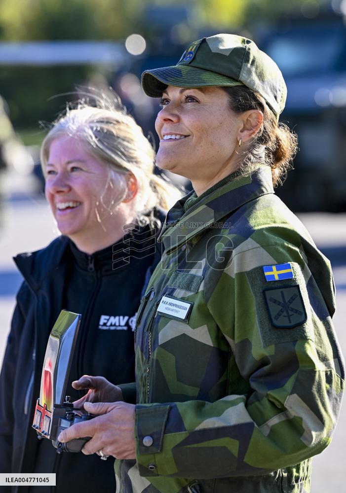 THE KING AND THE CROWN PRINCESS DRONE CAPABILITIES