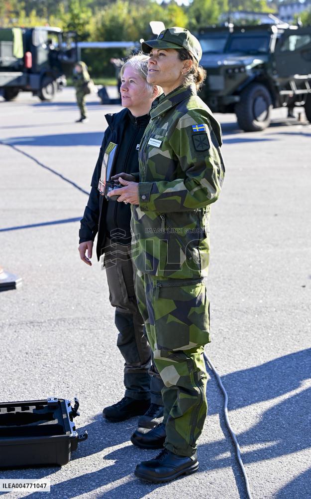 THE KING AND THE CROWN PRINCESS DRONE CAPABILITIES