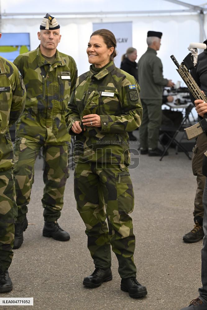 THE KING AND THE CROWN PRINCESS DRONE CAPABILITIES