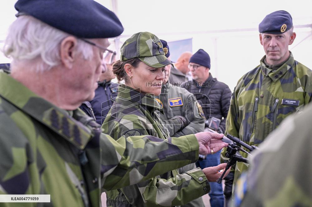 THE KING AND THE CROWN PRINCESS DRONE CAPABILITIES