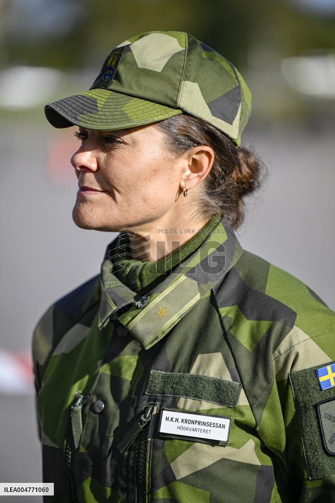 THE KING AND THE CROWN PRINCESS DRONE CAPABILITIES