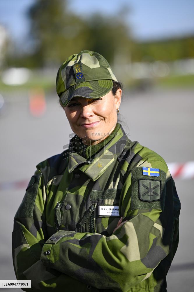 THE KING AND THE CROWN PRINCESS DRONE CAPABILITIES