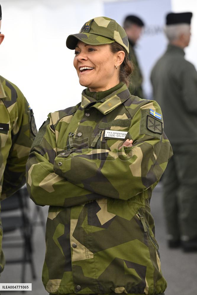 THE KING AND THE CROWN PRINCESS DRONE CAPABILITIES