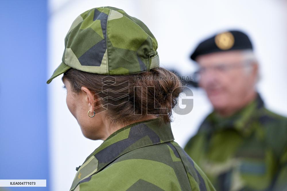 THE KING AND THE CROWN PRINCESS DRONE CAPABILITIES