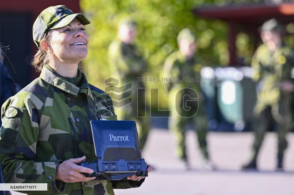 THE KING AND THE CROWN PRINCESS DRONE CAPABILITIES