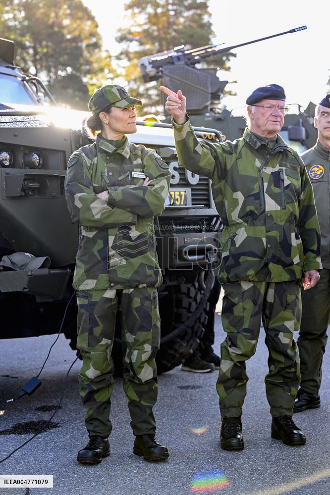 THE KING AND THE CROWN PRINCESS DRONE CAPABILITIES