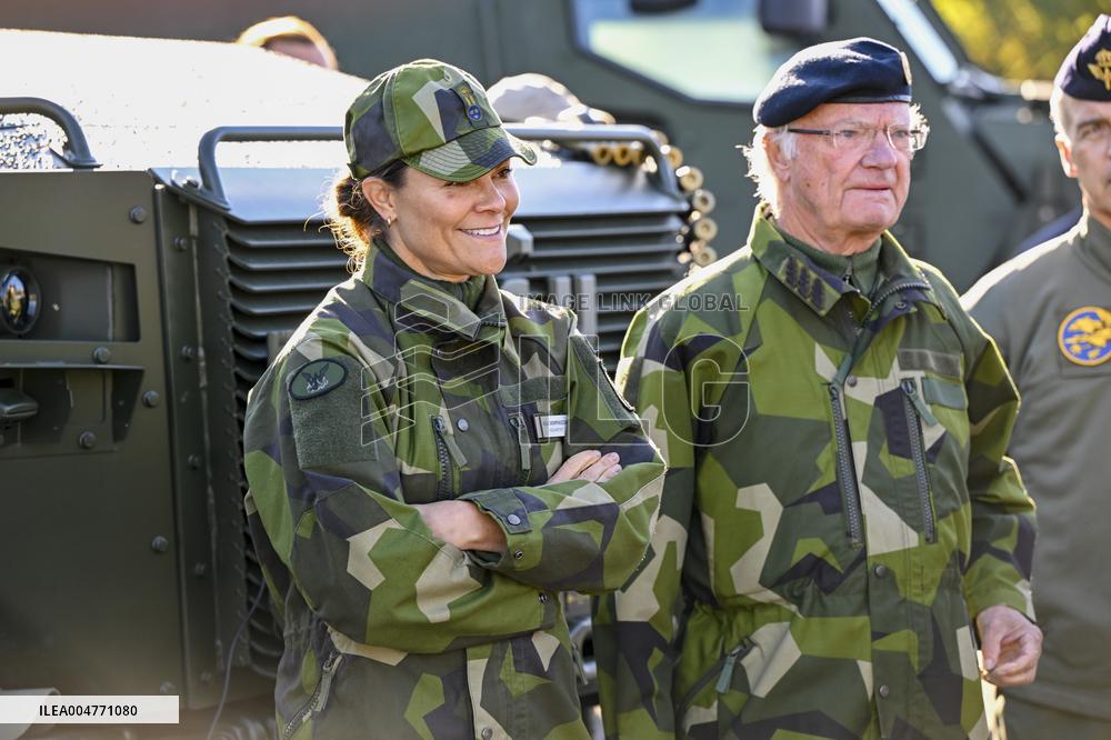 THE KING AND THE CROWN PRINCESS DRONE CAPABILITIES