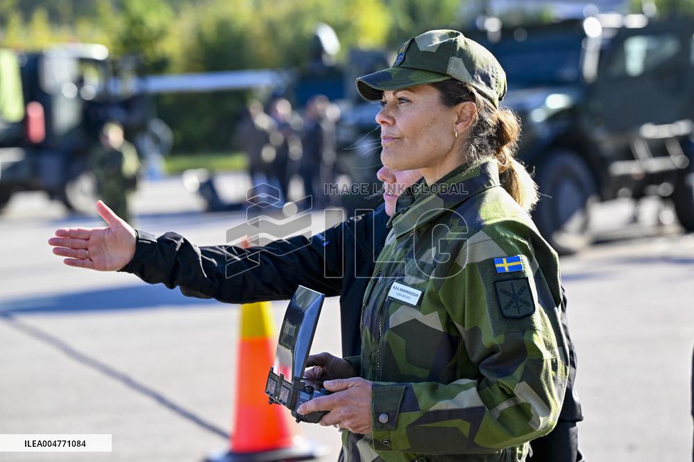 THE KING AND THE CROWN PRINCESS DRONE CAPABILITIES