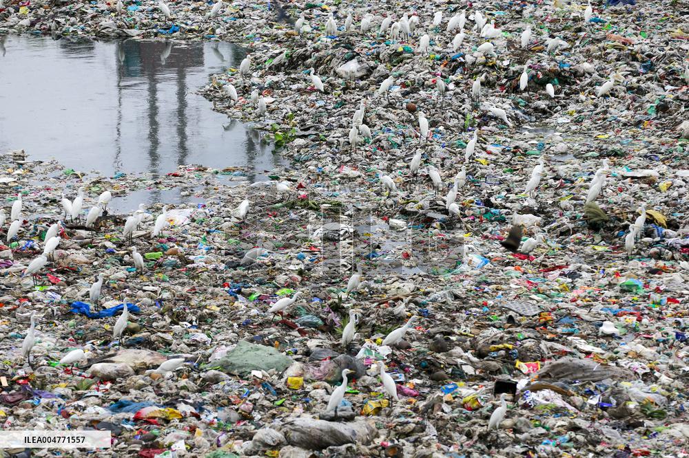 Environmental Pollution In Bangladesh