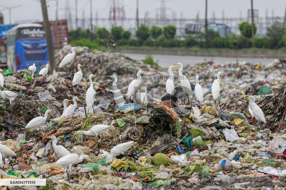 Environmental Pollution In Bangladesh