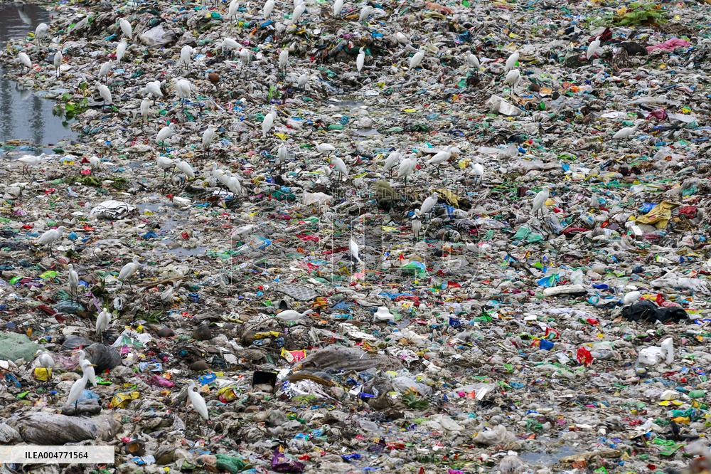 Environmental Pollution In Bangladesh