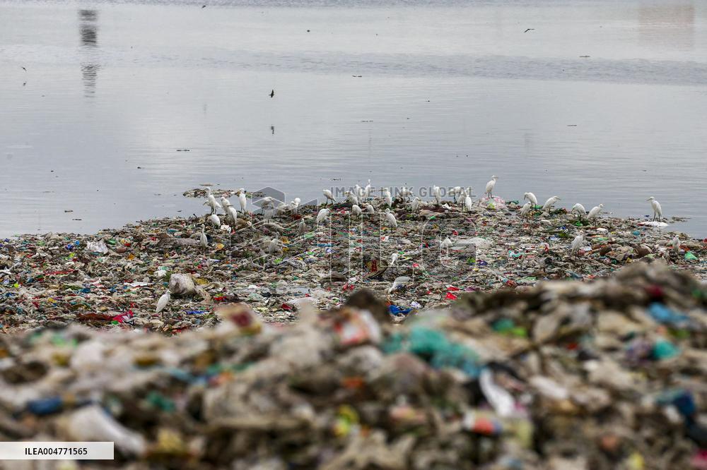 Environmental Pollution In Bangladesh