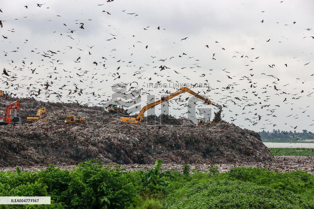 Environmental Pollution In Bangladesh