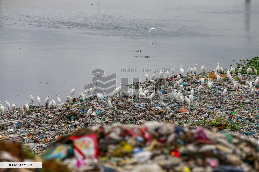 Environmental Pollution In Bangladesh