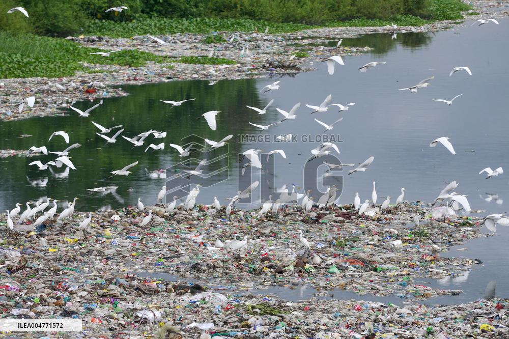Environmental Pollution In Bangladesh