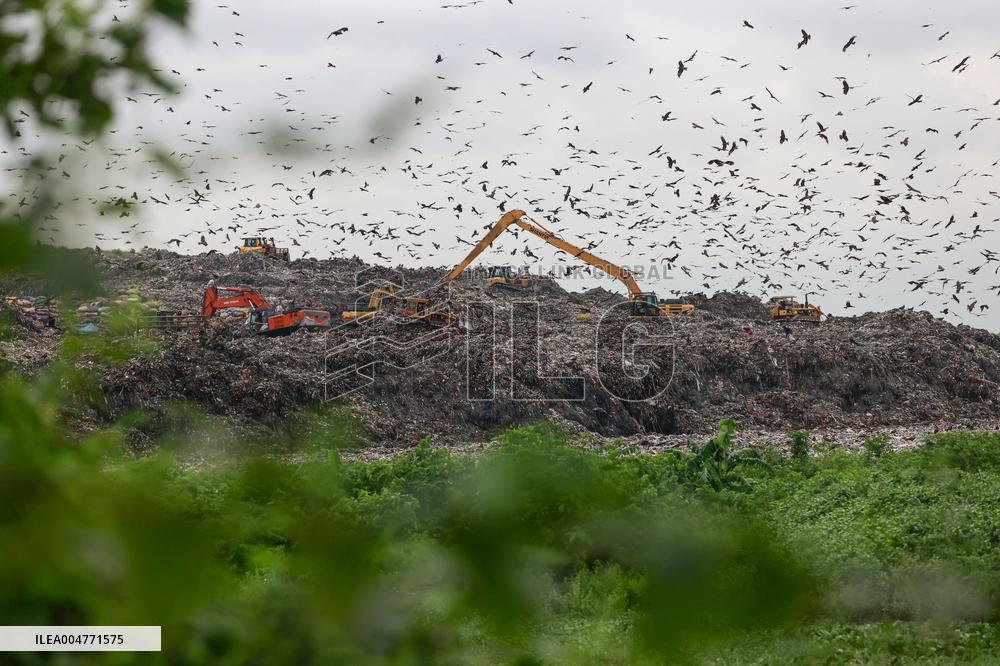 Environmental Pollution In Bangladesh