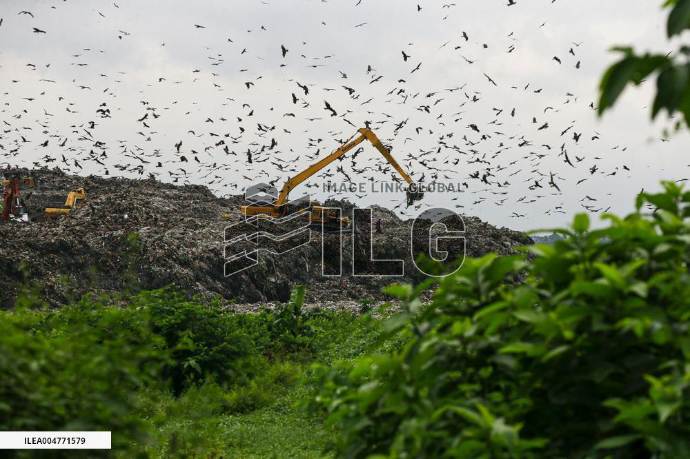 Environmental Pollution In Bangladesh