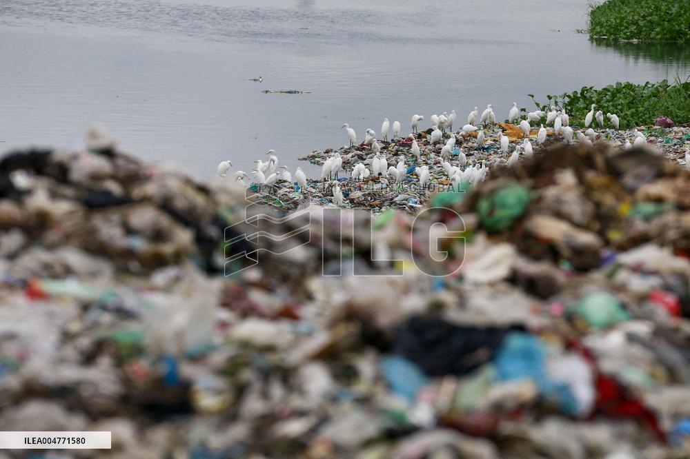 Environmental Pollution In Bangladesh