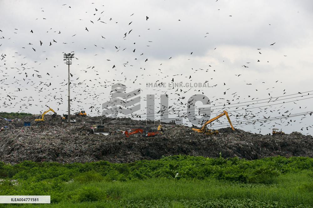 Environmental Pollution In Bangladesh