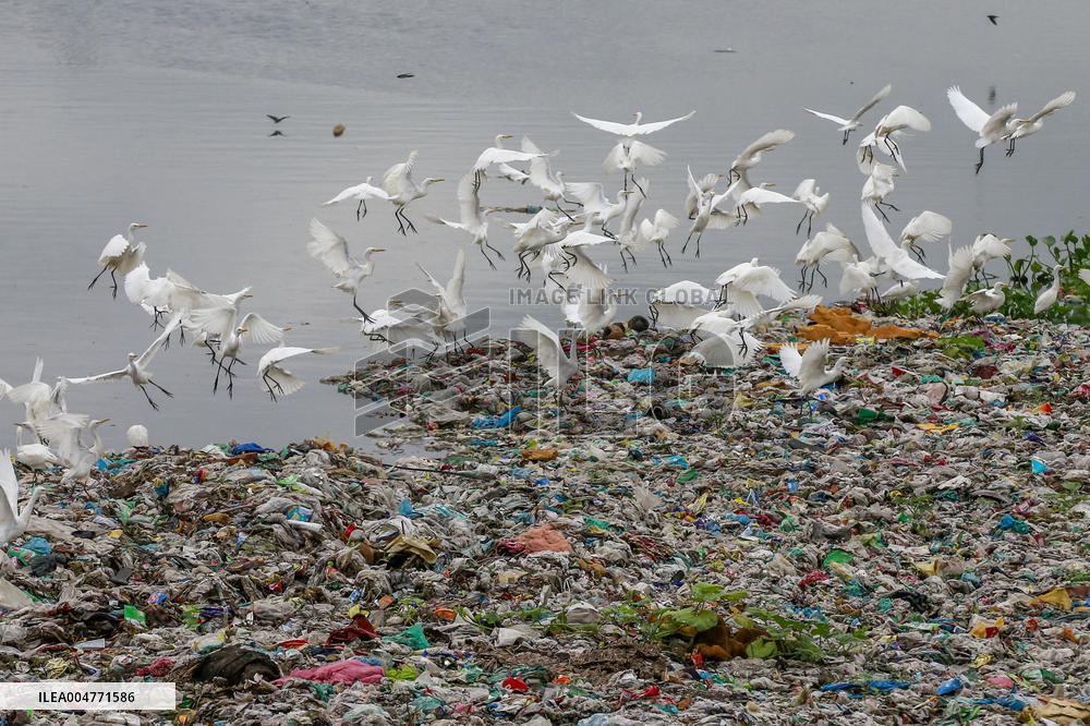 Environmental Pollution In Bangladesh