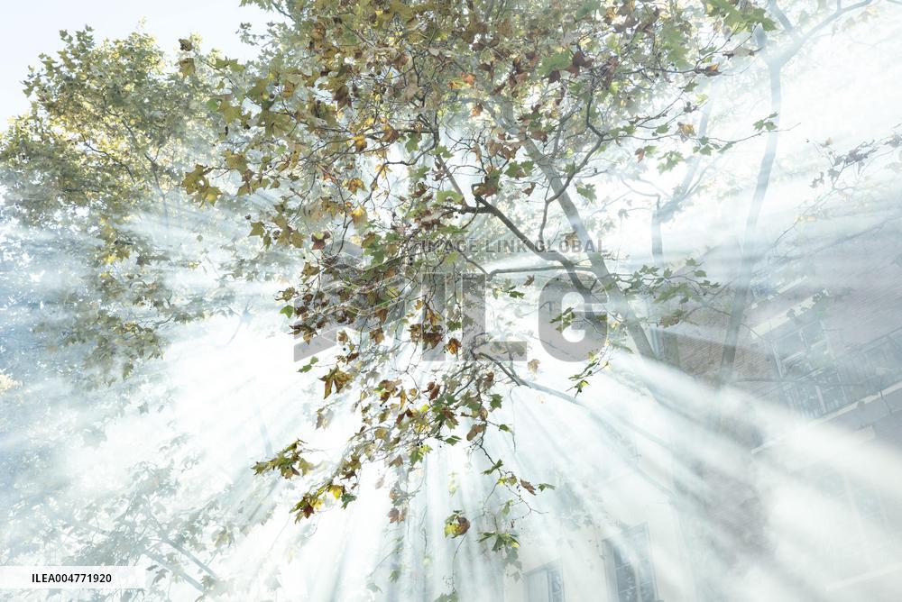 Inter-Union Mobilization in Toulouse - France