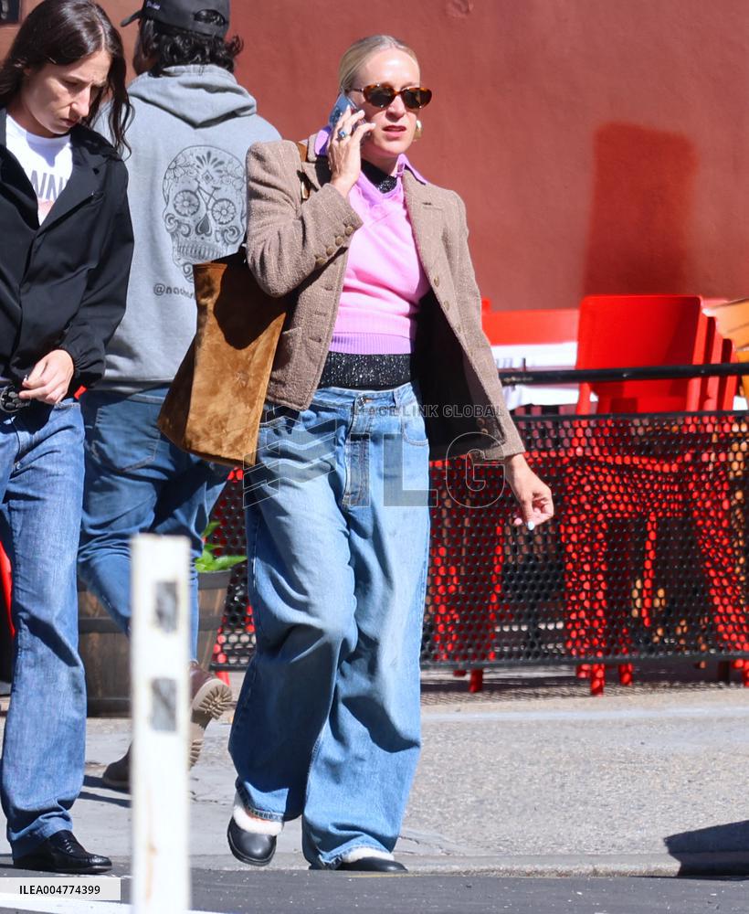 Chloe Sevigny out in New York