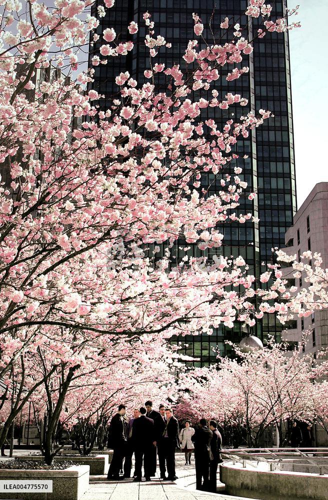 Illustration - Paris