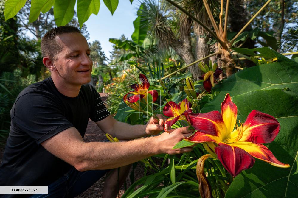 Illustration - Paris