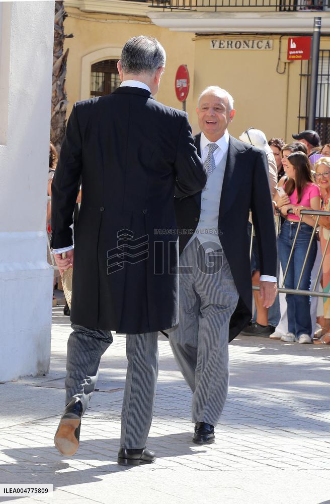 Wedding of Cayetano Martinez de Irujo and Barbara Mirjan - Seville