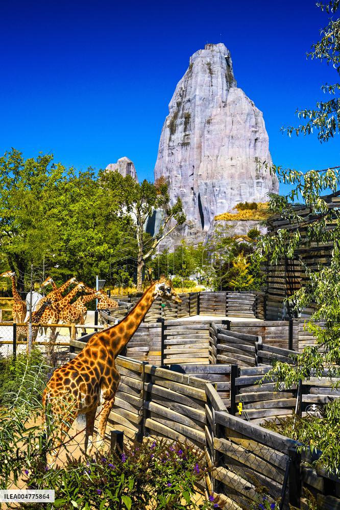 Illustration - Paris