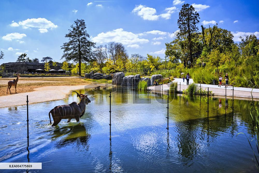 Illustration - Paris