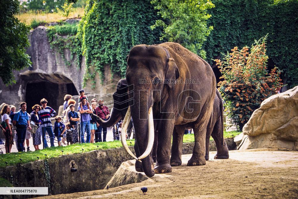 Illustration - Paris