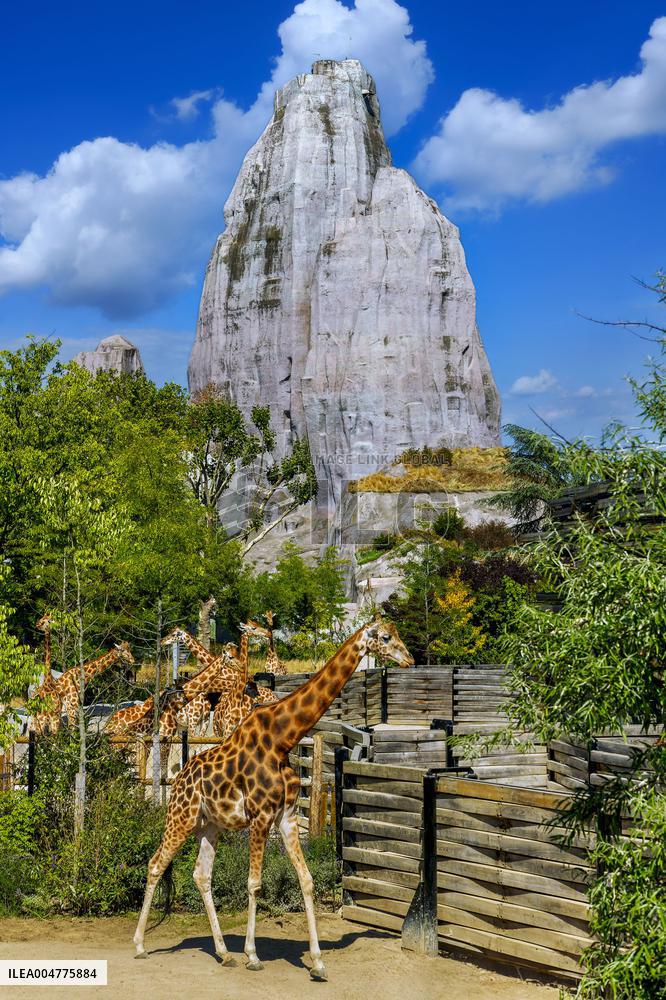 Illustration - Paris