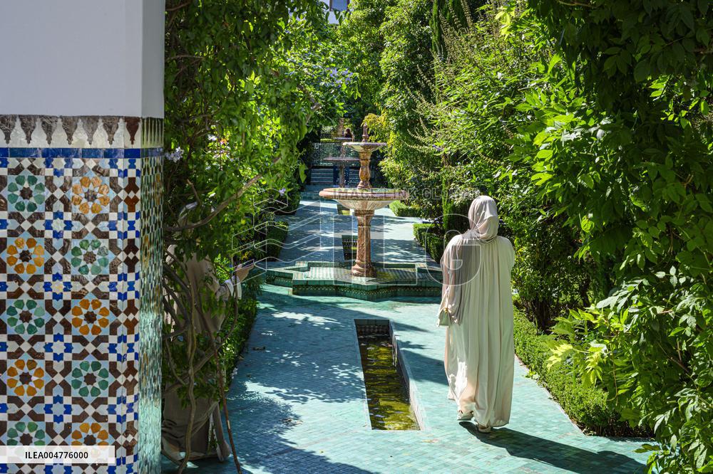 Illustration - Paris