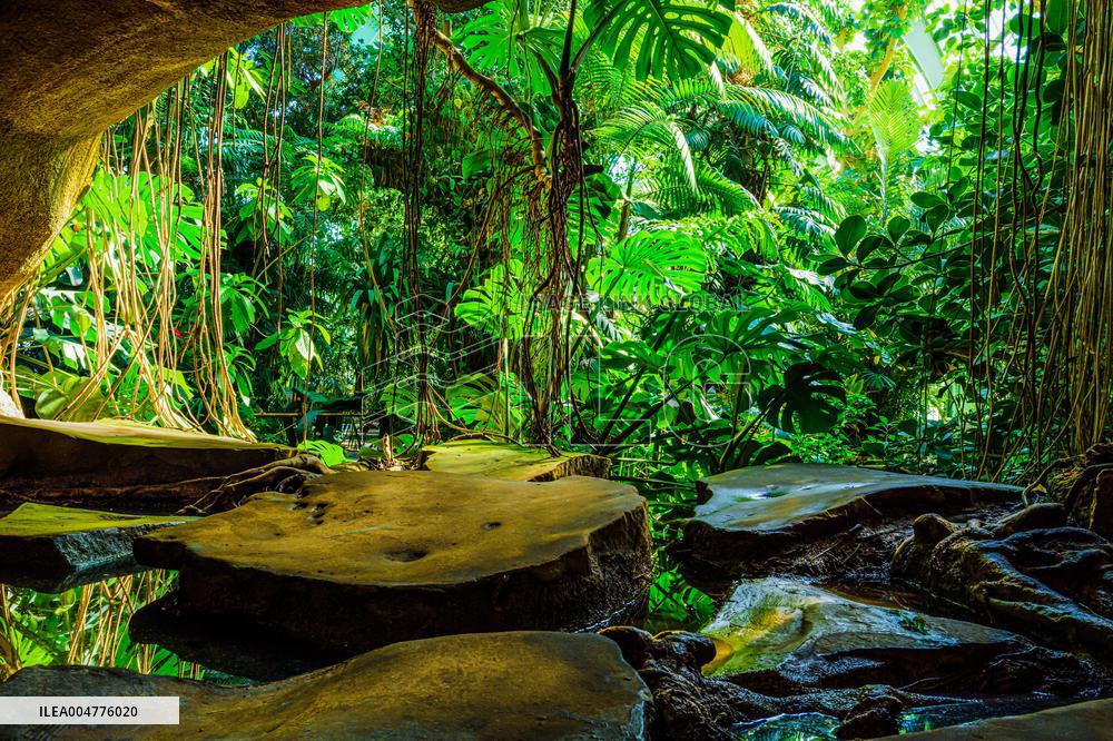 Illustration - Paris