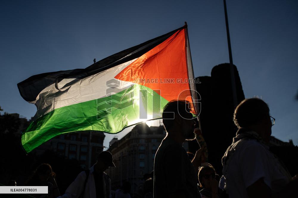 Demonstration in Support of Palestine Across Spain