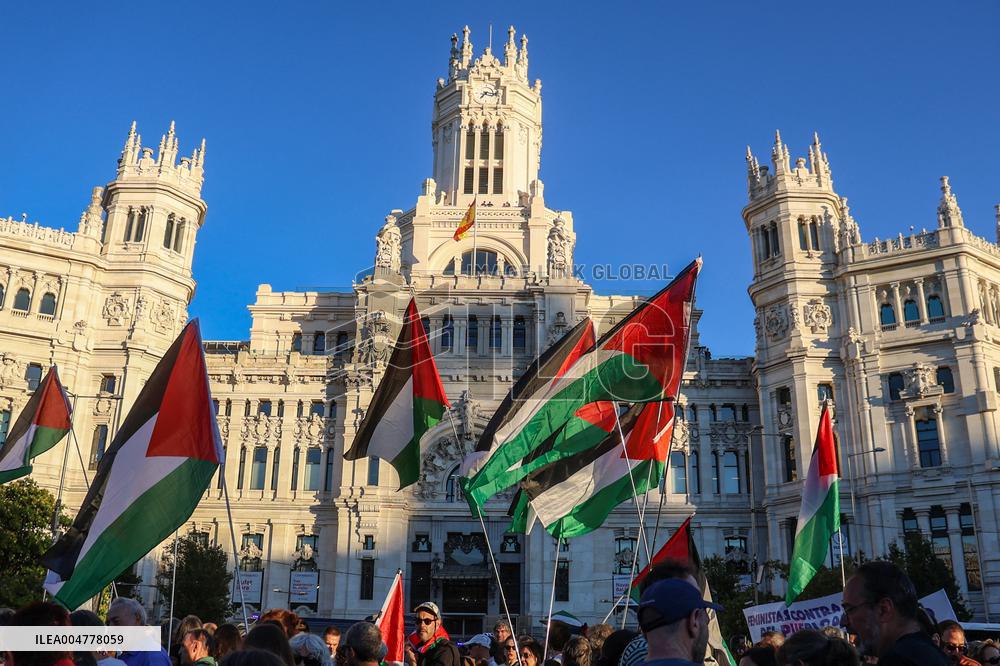 Demonstration in Support of Palestine Across Spain