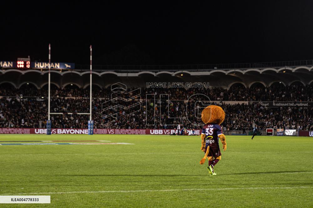 TOP 14: UNION BORDEAUX BEGLE VS LOU RUGBY (LYON)