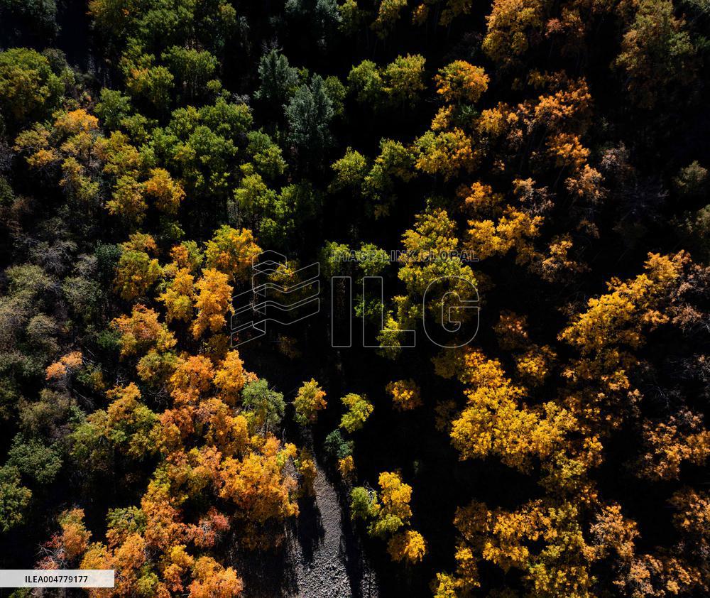 Issyk Gorge in Almaty Region - Kazakshta